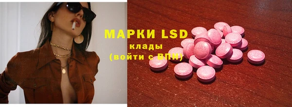 хмурый Белокуриха