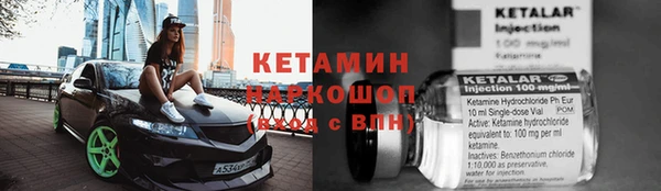 хмурый Белокуриха