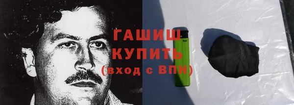 хмурый Белокуриха