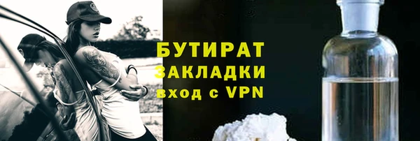 хмурый Белокуриха