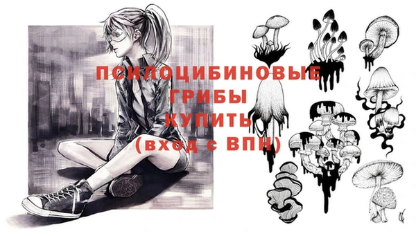 хмурый Белокуриха