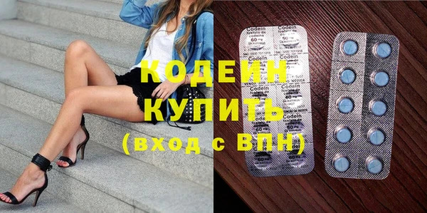 хмурый Белокуриха