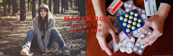 хмурый Белокуриха