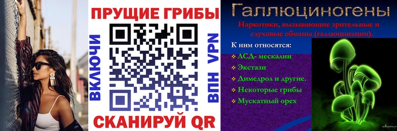 Галлюциногенные грибы Cubensis  Мезень 