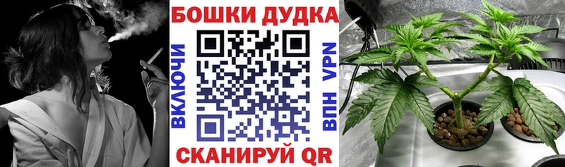 Каннабис индика  дарнет шоп  Мезень 